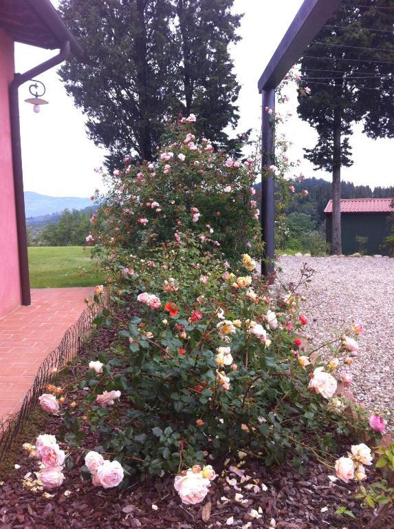 Azienda Agrituristica Bellavista Vila Montespertoli Exterior foto